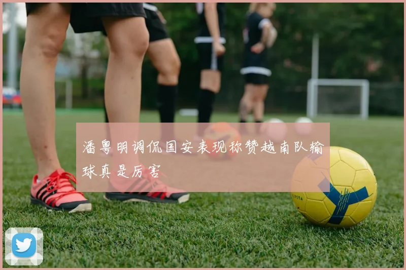 潘粤明调侃国安表现称赞越南队输球真是厉害