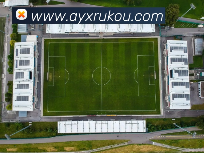 爱游戏APP 体育赛事宣传图