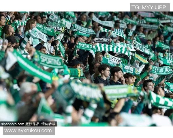 鲁媒分析泰山队收官阶段应展现进取心并积极寻找新外援中卫人选 鲁媒分析泰山队收官阶段应展现进取心并积极寻找新外援中卫人选