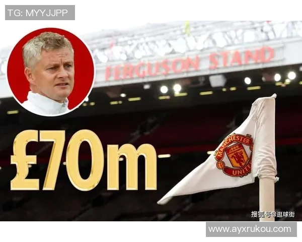 热刺大股东刘易斯家族信托注资1亿镑助力俱乐部发展