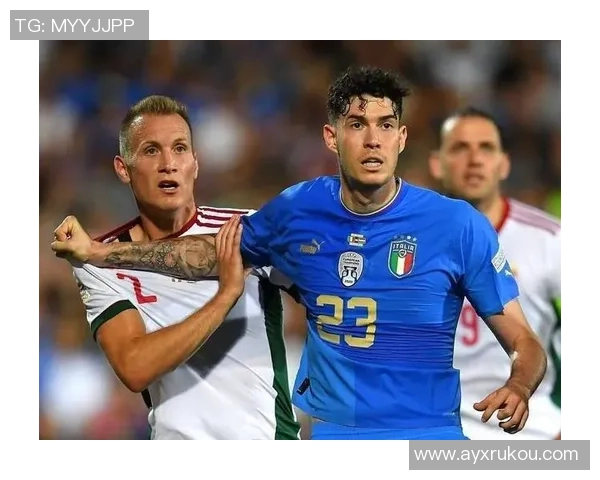 马洛塔分析意甲海外赛的挑战与经济影响的重要性